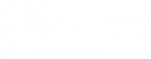 ACE Certified Coach Logo